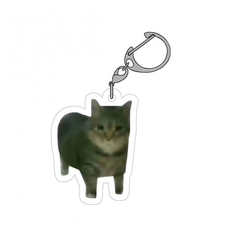 Meme Cat Acrylic Keychain