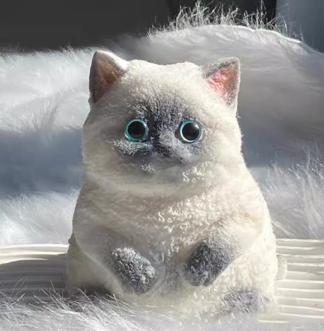 Viral Cat Taba Squishy