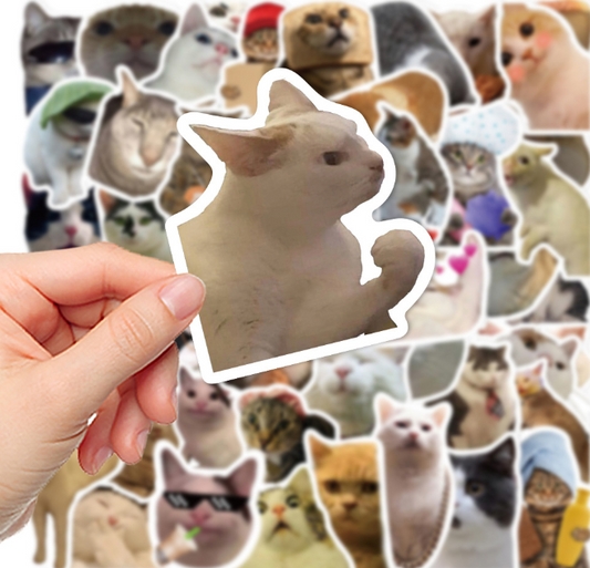 5 Random Cat meme Stickers