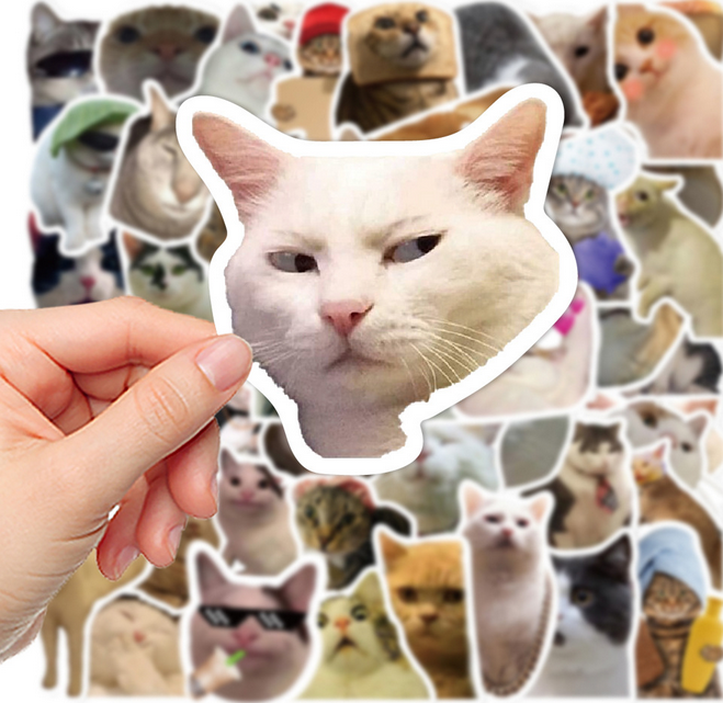 5 Random Cat meme Stickers