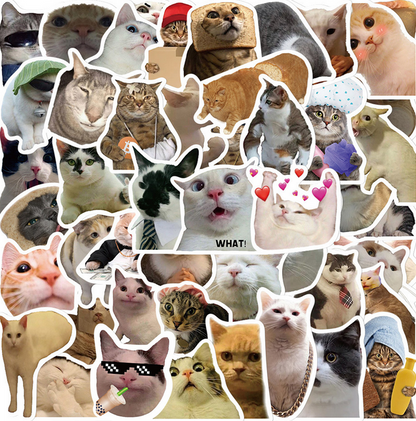 5 Random Cat meme Stickers