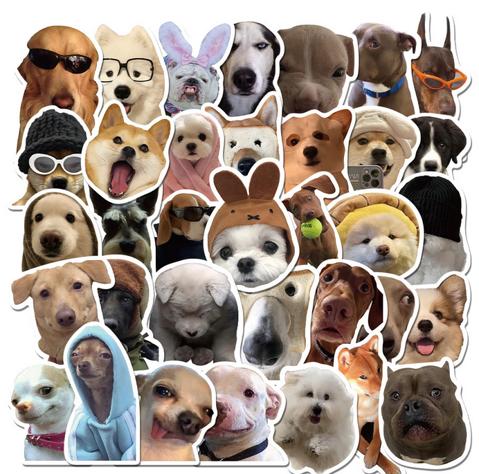5 Random Dog meme Stickers