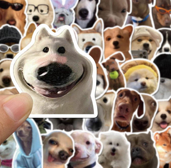 5 Random Dog meme Stickers