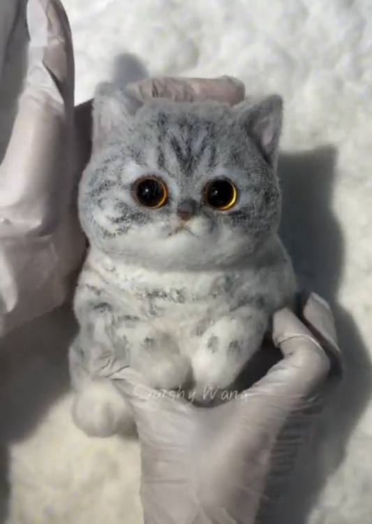 Viral Cat Taba Squishy
