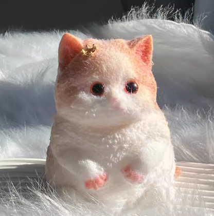 Viral Cat Taba Squishy