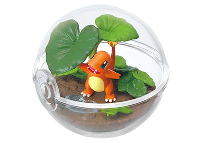 PokeMon Pokeball Terrarium Set TH33