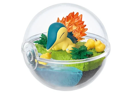 PokeMon Pokeball Terrarium Set TH33