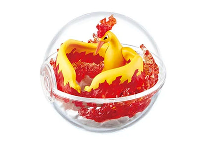 PokeMon Pokeball Terrarium Set 4our