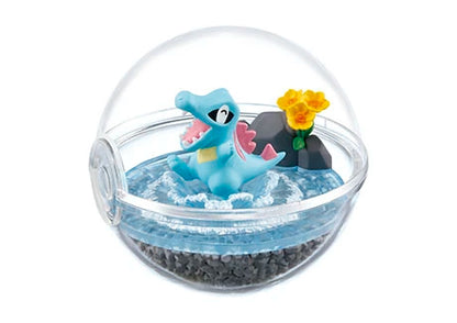 PokeMon Pokeball Terrarium Set 4our