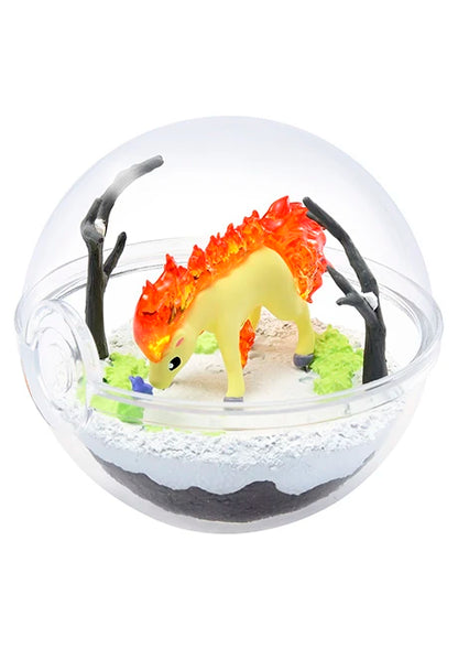 PokeMon Pokeball Terrarium Set Fi5e