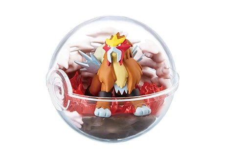 PokeMon Pokeball Terrarium Set 6ix