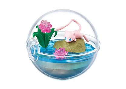 PokeMon Pokeball Terrarium Set 6ix