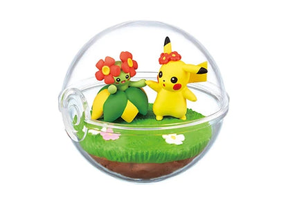 PokeMon Pokeball Terrarium Set 6ix