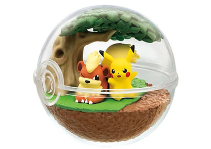 PokeMon Pokeball Terrarium Set Se7en