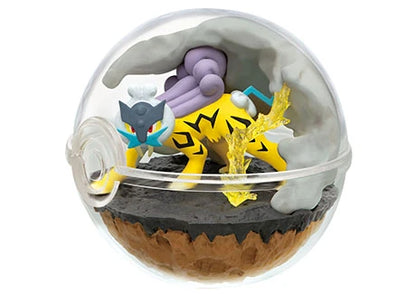 PokeMon Pokeball Terrarium Set Se7en