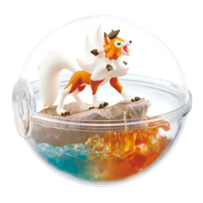 PokeMon Pokeball Terrarium Set 8ight {Spl. Drop}