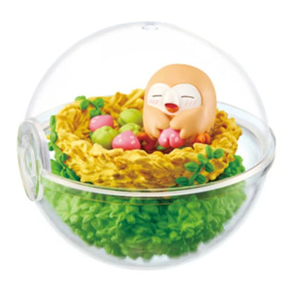 PokeMon Pokeball Terrarium Set 8ight {Spl. Drop}