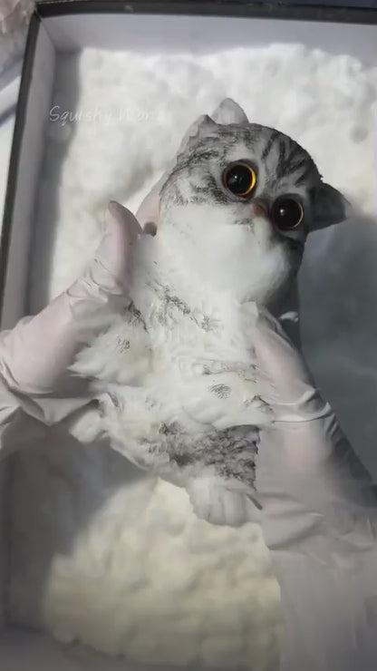 Viral Cat Taba Squishy